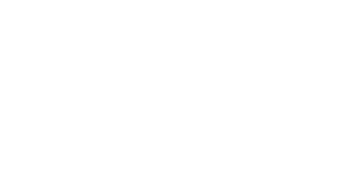Theodo